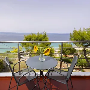 apollo-apartments-studios.hotelschalkidiki.net/